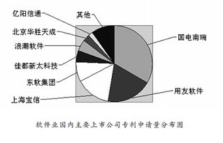 國(guó)內(nèi)軟件與信息技術(shù)服務(wù)業(yè)上市公司專利布局與創(chuàng)新趨勢(shì)分析